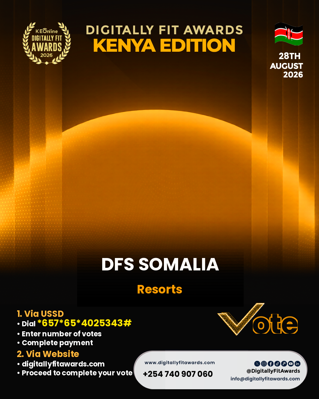 DFS Somalia poster