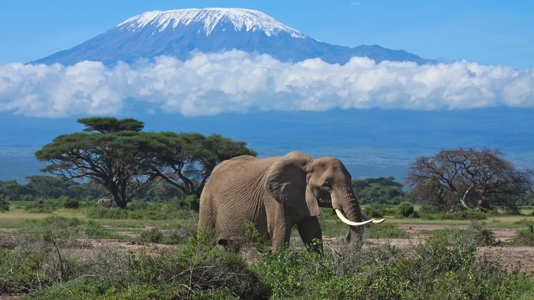 Kenya to East Africa
