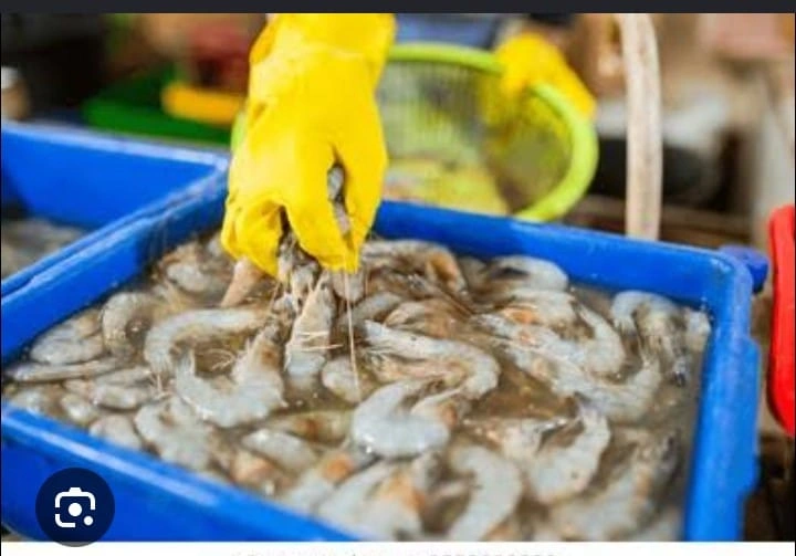 SEA FOOD SUPPLIER