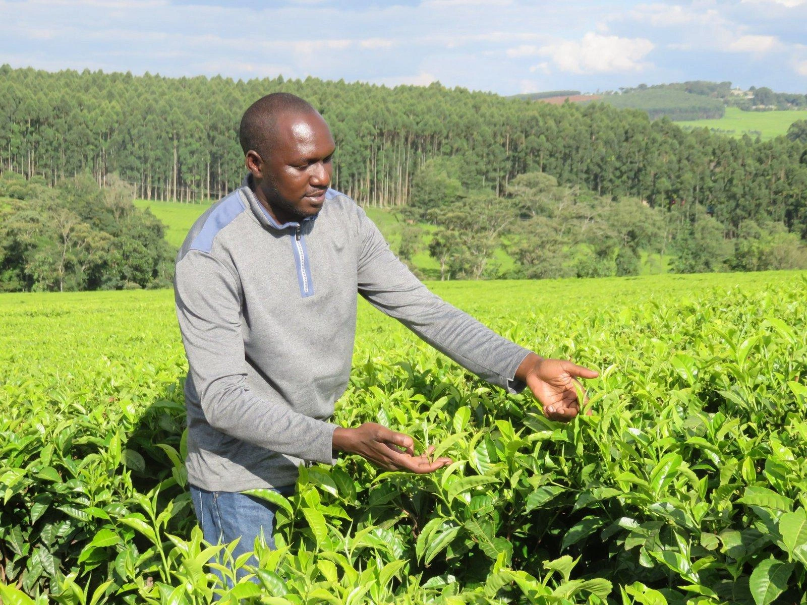 Mr. Silas Njibwakale