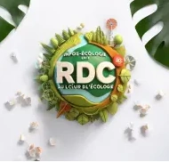 Infosecologie RDC