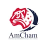 Amcham Democratic Republic of Congo