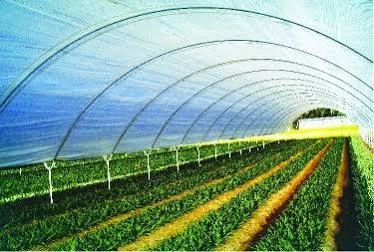 Green Canopy Fertigation Loops