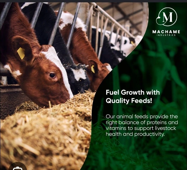 Machame Animal Feeds
