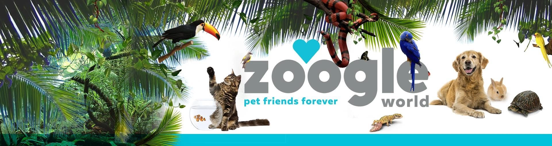 Zoogle World