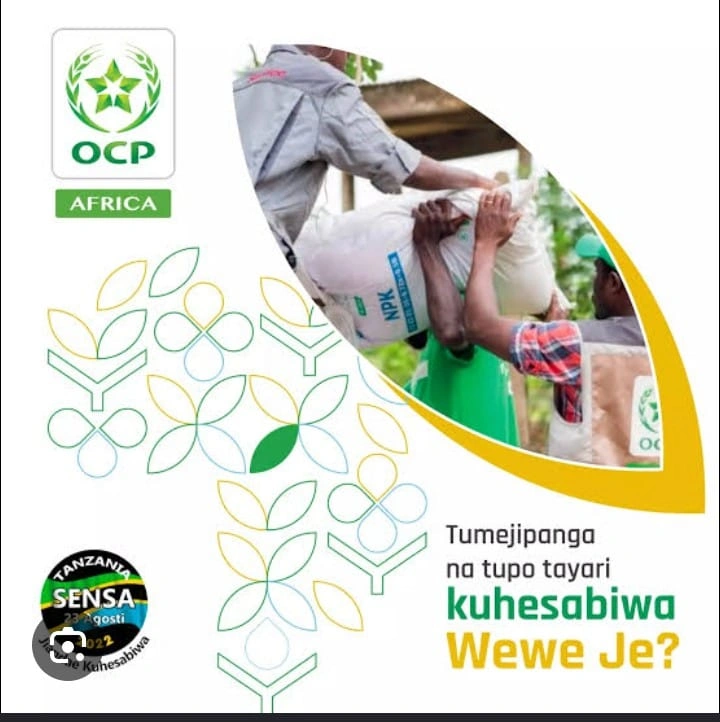 OCP (T) LTD