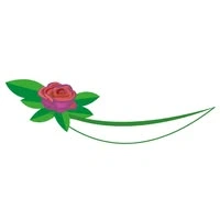 Zimbali flowers