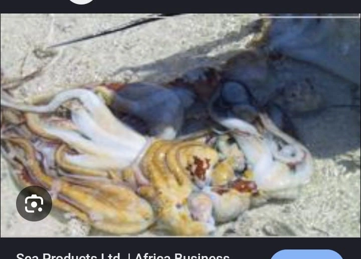 Sea Products Ltd