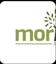 Moringa School