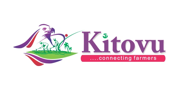 Kitovu