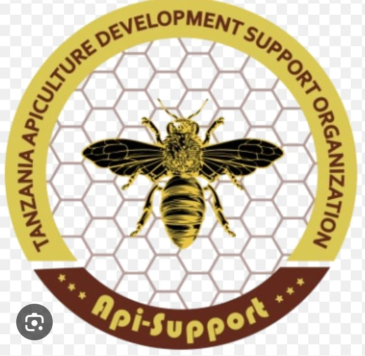 Worker Bees Africa