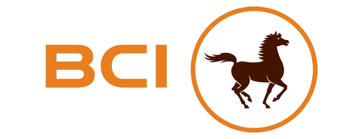 Banque Commerciale Internationale (BCI)