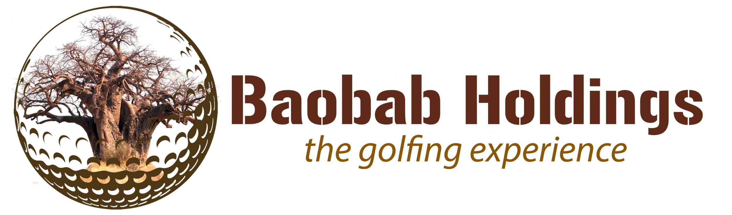 Baobab Holdings