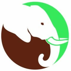 Nature Romp Safaris