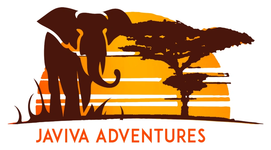 Javiva Adventures