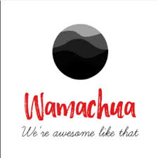 Wamachua Baby and Kids Toys Kenya