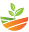 Aquascapes
