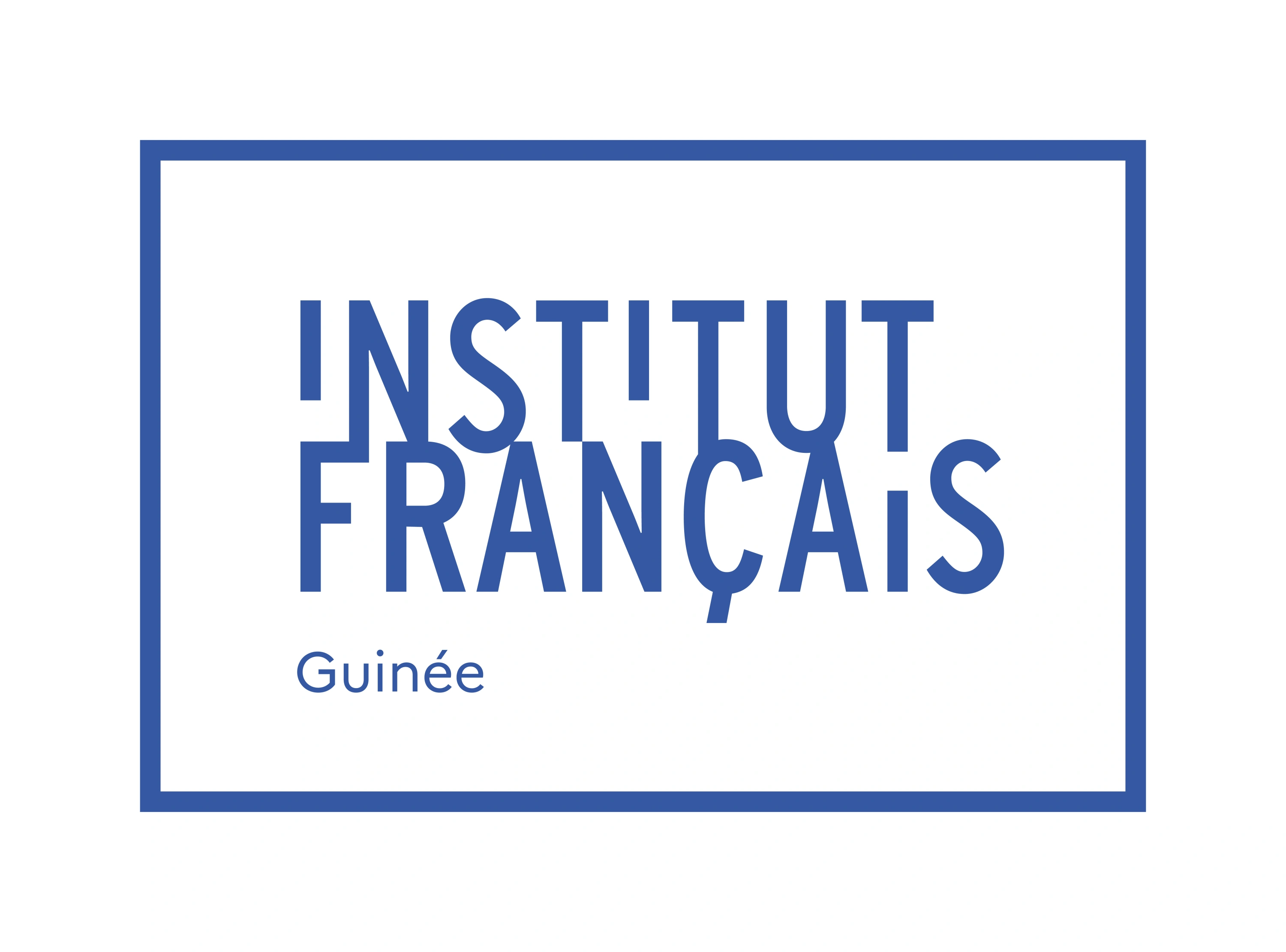 Station IA at Institut Français de Guinée