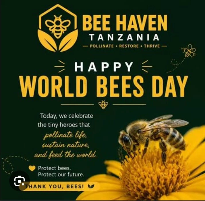 Bee Haven Tanzania