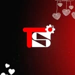 Techstyles Solutions