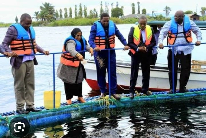Tegeta aquaculture suppliers