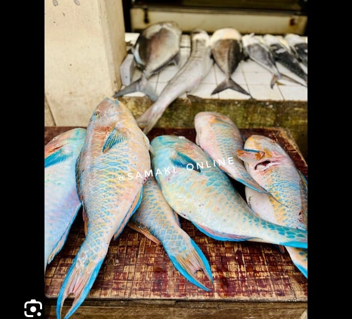 Samaki Online