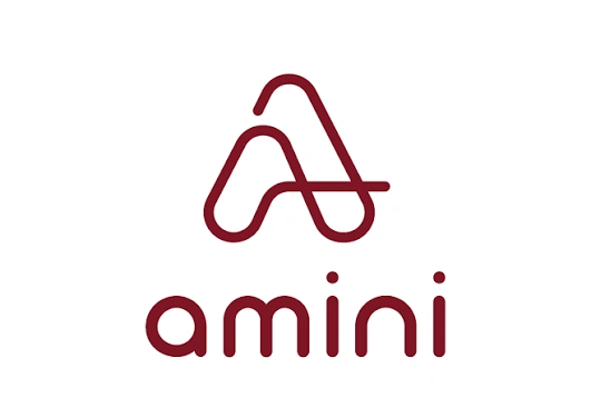 Amini