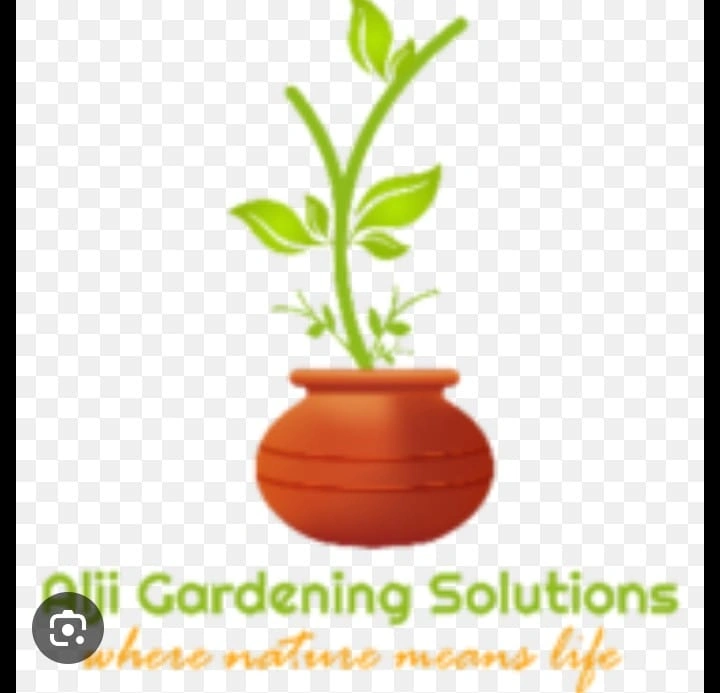 Alji Gardening Solutions