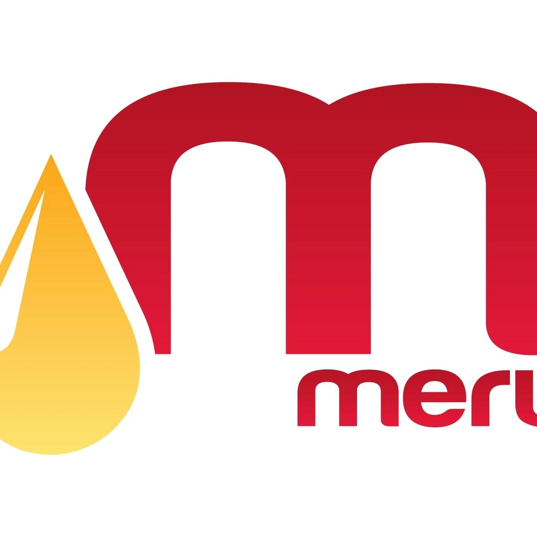 Mount Meru Petroleum (T) Ltd