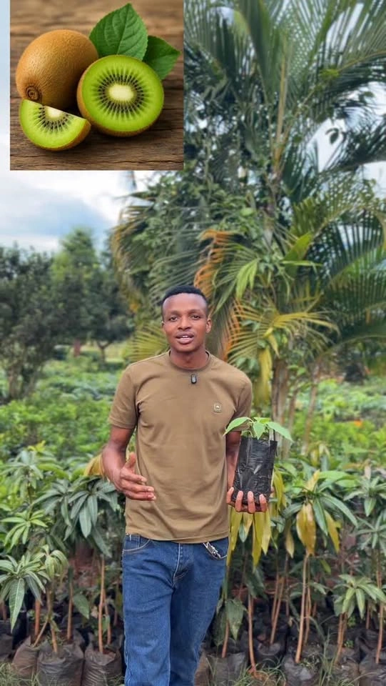 Farm with Ben